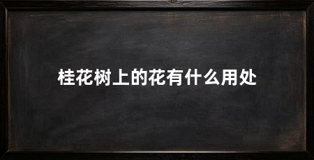桂花树上的花有什么用处