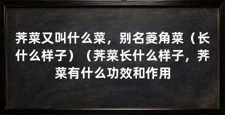 荠菜又叫什么菜，别名菱角菜（长什么样子）（荠菜长什么样子，荠菜有什么功效和作用