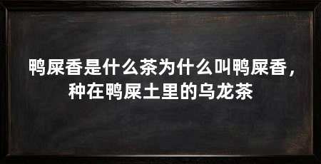 鸭屎香是什么茶为什么叫鸭屎香，种在鸭屎土里的乌龙茶