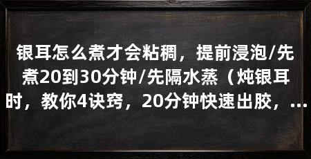 银耳怎么煮才会粘稠,提前浸泡/先煮20到30分钟/先隔水蒸(炖银耳时,教你4诀窍,20分钟快速出胶,汤汁黏稠,省时又省力