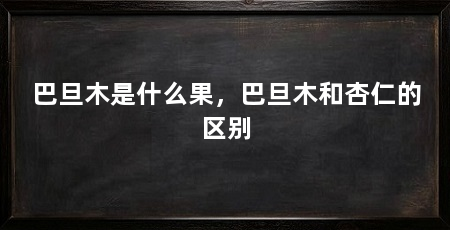 巴旦木是什么果，巴旦木和杏仁的区别
