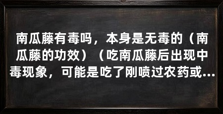 南瓜藤有毒吗，本身是无毒的（南瓜藤的功效）（吃南瓜藤后出现中毒现象，可能是吃了刚喷过农药或除草剂的所致