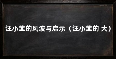 汪小菲的风波与启示（汪小菲的 大）