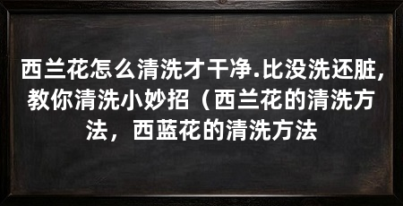 西兰花怎么清洗才干净.比没洗还脏,教你清洗小妙招（西兰花的清洗方法，西蓝花的清洗方法