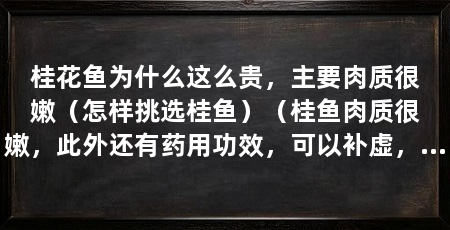 桂花鱼为什么这么贵，主要肉质很嫩（怎样挑选桂鱼）（桂鱼肉质很嫩，此外还有药用功效，可以补虚，易于消化