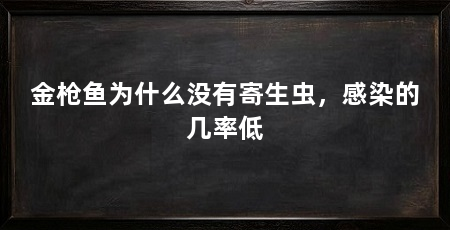 金枪鱼为什么没有寄生虫，感染的几率低