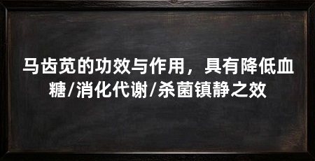 马齿苋的功效与作用，具有降低血糖/消化代谢/杀菌镇静之效