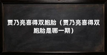 贾乃亮喜得双胞胎（贾乃亮喜得双胞胎是哪一期）