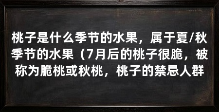 桃子是什么季节的水果，属于夏/秋季节的水果（7月后的桃子很脆，被称为脆桃或秋桃，桃子的禁忌人群