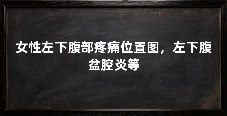 女性左下腹部疼痛位置图，左下腹盆腔炎等
