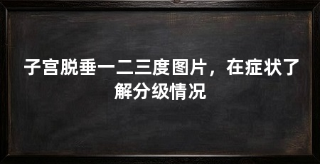 子宫脱垂一二三度图片,在症状了解分级情况