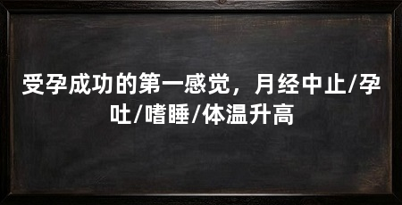 受孕成功的第一感觉，月经中止/孕吐/嗜睡/体温升高