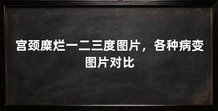 宫颈糜烂一二三度图片,各种病变图片对比