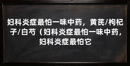 妇科炎症最怕一味中药,黄芪/枸杞子/白芍(妇科炎症最怕一味中药,妇科炎症最怕它