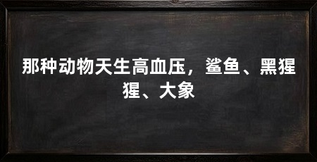 那种动物天生高血压，鲨鱼、黑猩猩、大象