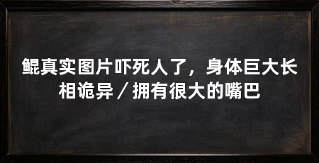 鲲真实图片吓死人了，身体巨大长相诡异／拥有很大的嘴巴