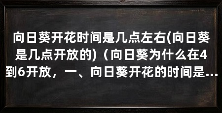 向日葵开花时间是几点左右(向日葵是几点开放的)（向日葵为什么在4到6开放，一、向日葵开花的时间是几点