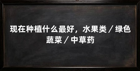 现在种植什么最好，水果类／绿色蔬菜／中草药