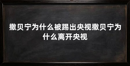 撒贝宁为什么被踢出央视撒贝宁为什么离开央视