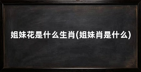姐妹花是什么生肖(姐妹肖是什么)