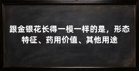 跟金银花长得一模一样的是,形态特征、药用价值、其他用途