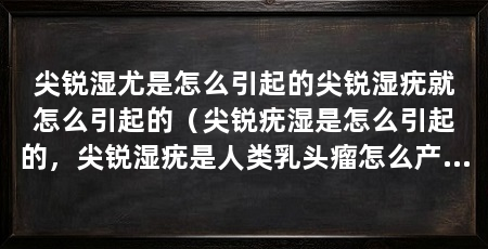 尖锐湿尤是怎么引起的尖锐湿疣就怎么引起的（尖锐疣湿是怎么引起的，尖锐湿疣是人类乳头瘤怎么产生的