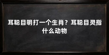 耳聪目明打一个生肖？耳聪目灵指什么动物