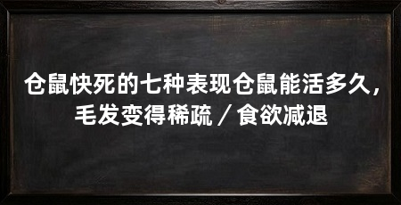 仓鼠快死的七种表现仓鼠能活多久，毛发变得稀疏／食欲减退