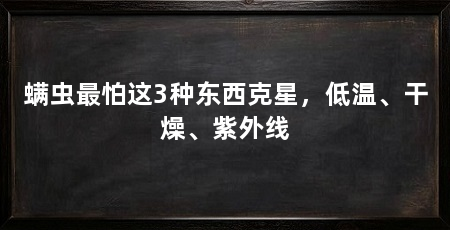 螨虫最怕这3种东西克星,低温、干燥、紫外线