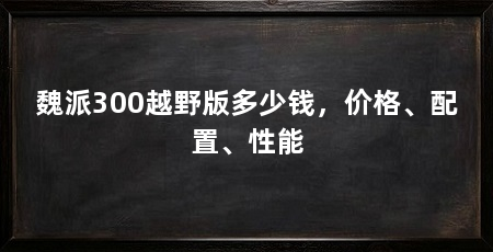 魏派300越野版多少钱,价格、配置、性能
