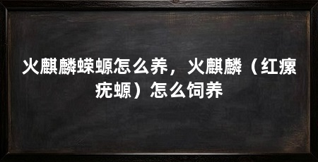 火麒麟蝾螈怎么养，火麒麟（红瘰疣螈）怎么饲养