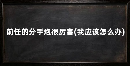 前任的分手炮很厉害(我应该怎么办)