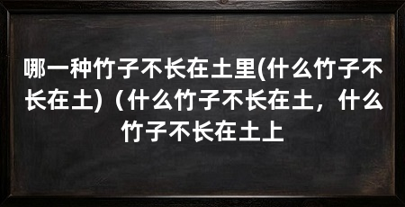 哪一种竹子不长在土里(什么竹子不长在土)（什么竹子不长在土，什么竹子不长在土上