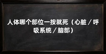 人体哪个部位一按就死（心脏／呼吸系统／脑部）