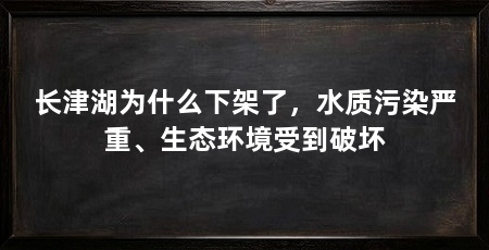 长津湖为什么下架了，水质污染严重、生态环境受到破坏