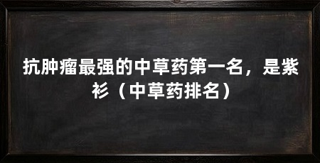抗肿瘤最强的中草药第一名,是紫衫(中草药排名)