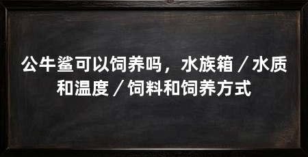 公牛鲨可以饲养吗,水族箱/水质和温度/饲料和饲养方式