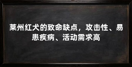 莱州红犬的致命缺点,攻击性、易患疾病、活动需求高