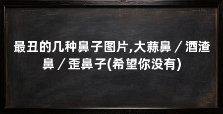 最丑的几种鼻子图片,大蒜鼻／酒渣鼻／歪鼻子(希望你没有)