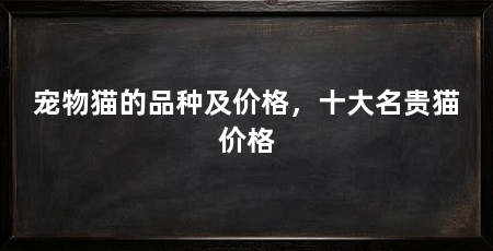 宠物猫的品种及价格，十大名贵猫价格