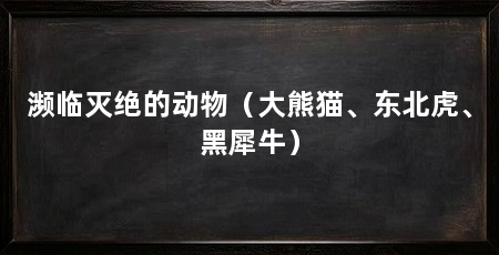 濒临灭绝的动物（大熊猫、东北虎、黑犀牛）