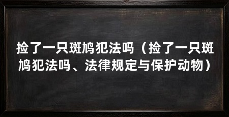 捡了一只斑鸠犯法吗（捡了一只斑鸠犯法吗、法律规定与保护动物）