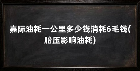 嘉际油耗一公里多少钱消耗6毛钱(胎压影响油耗)
