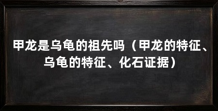 甲龙是乌龟的祖先吗(甲龙的特征、乌龟的特征、化石证据)