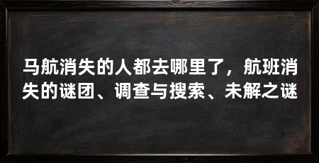 马航消失的人都去哪里了,航班消失的谜团、调查与搜索、未解之谜