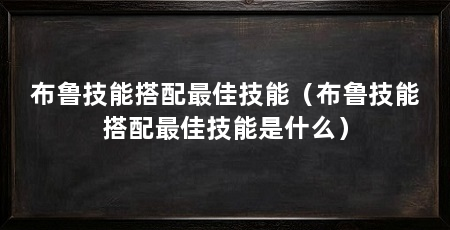 布鲁技能搭配最佳技能（布鲁技能搭配最佳技能是什么）