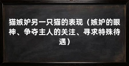 猫嫉妒另一只猫的表现(嫉妒的眼神、争夺主人的关注、寻求特殊待遇)