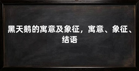 黑天鹅的寓意及象征，寓意、象征、结语