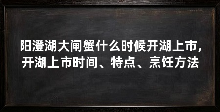 阳澄湖大闸蟹什么时候开湖上市,开湖上市时间、特点、烹饪方法