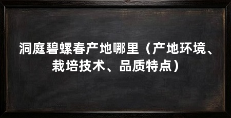 洞庭碧螺春产地哪里（产地环境、栽培技术、品质特点）
